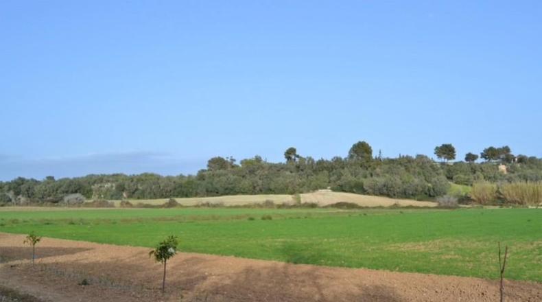 Balearic Islands - Muro - 22239m2