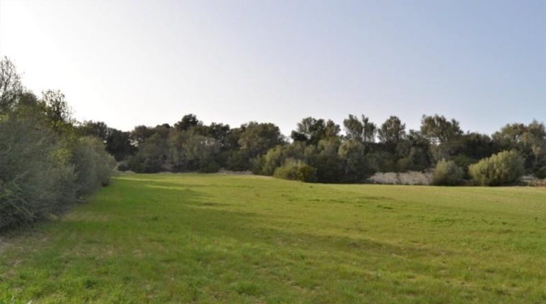 Balearic Islands - Muro - 22239m2