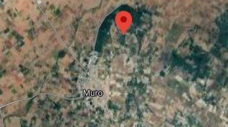 Balearic Islands - Muro - 22239m2