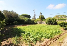 Jerez de la Frontera 2645&nbsp;m² 