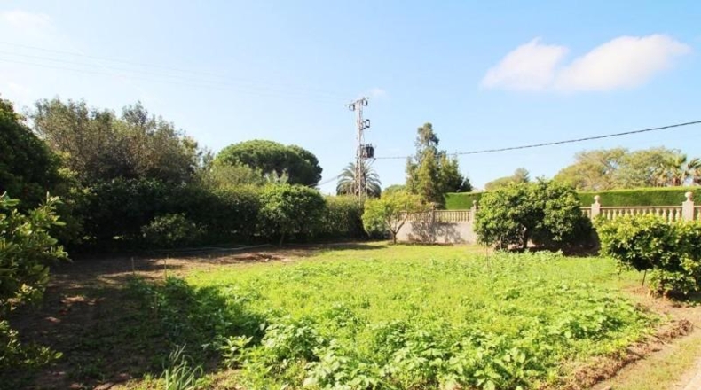 Cádiz - Jerez de la Frontera - 2645m2