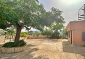 Xalet independent amb terreny en venda a la España, Xerta, ref.: TR269358 foto