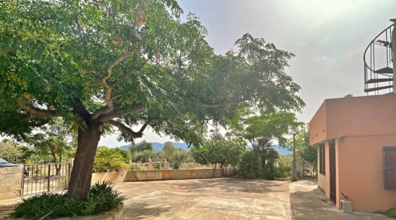 Tarragona - Xerta - 12784m2