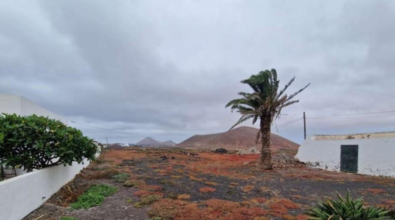 Las Palmas - Teguise - 2450m2