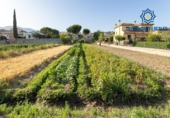 Sòl urbà en venda a la España, La Zubia, ref.: TR264914 foto