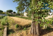 Sòl urbà en venda a la España, La Zubia, ref.: TR264914 foto