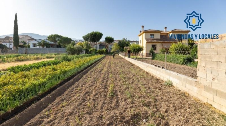 Granada - La Zubia - 1060m2