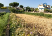 Sòl urbà en venda a la España, La Zubia, ref.: TR264914 foto