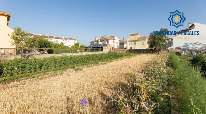 Granada - La Zubia - 1060m2