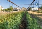Sòl urbà en venda a la España, La Zubia, ref.: TR264914 foto