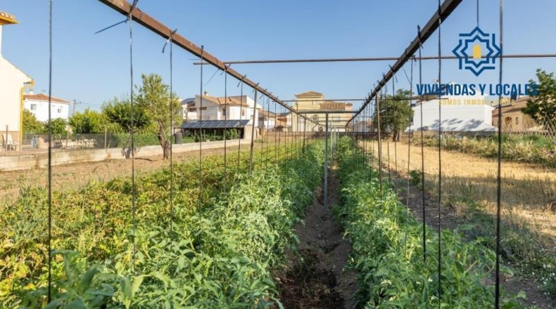 Granada - La Zubia - 1060m2