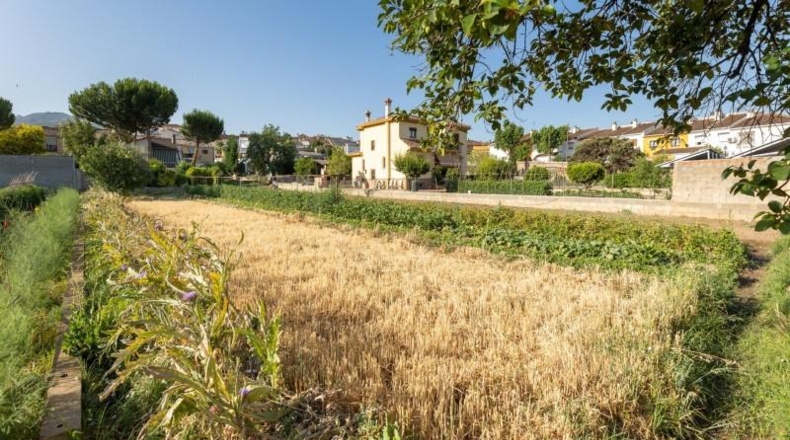 Granada - La Zubia - 1060m2