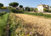 Sòl urbà en venda a la España, La Zubia, ref.: TR264915 foto