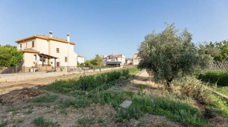 Granada - La Zubia - 1060m2