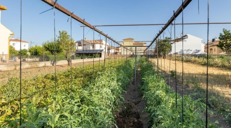 Granada - La Zubia - 1060m2
