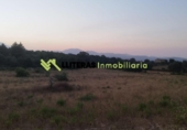 Земля на продажу у города Llubí Фото
