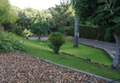 Casa con terreno en venta en la España, Córdoba, ref: TR308808 foto