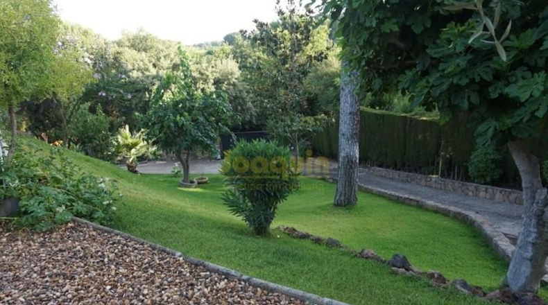 Cordova - Córdoba - 8000m2