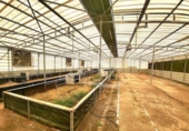Parcela urbanizable en venta en la España, Fasnia, ref: TR311684 foto