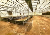 Parcela urbanizable en venta en la España, Fasnia, ref: TR311684 foto
