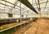 Parcela urbanizable en venta en la España, Fasnia, ref: TR311684 foto