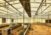 Parcela urbanizable en venta en la España, Fasnia, ref: TR311684 foto
