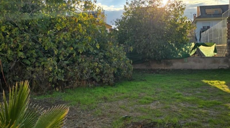 Granada - Cúllar Vega - 208m2