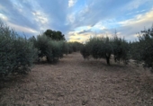 Casa de camp amb terreny en venda a la España, Alcantarilla, ref.: TR363707 foto