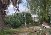 Casa de camp amb terreny en venda a la España, Alcantarilla, ref.: TR363707 foto