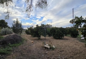 Foto 19