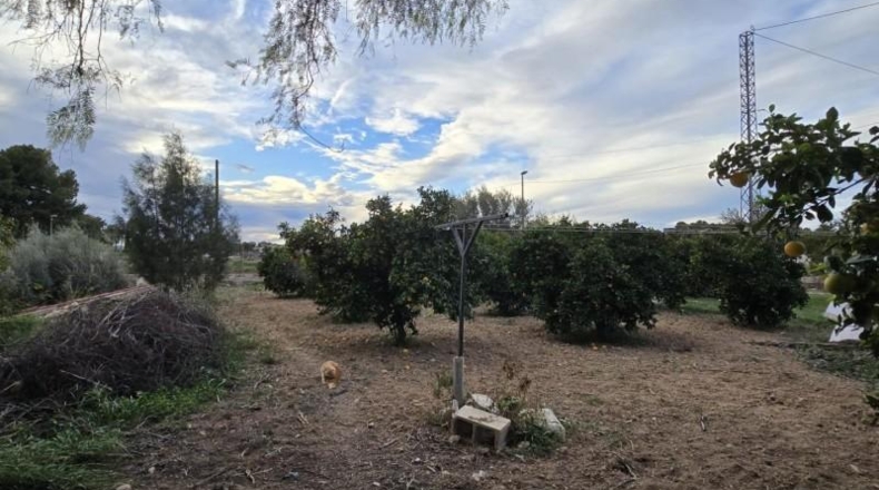 Murcia - Alcantarilla - 3500m2