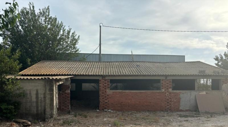 Alicante - Formentera del Segura - 30000m2
