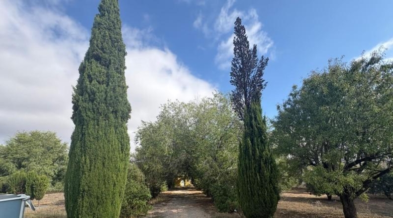 Ciudad Real - Puebla de Don Rodrigo - 15000m2