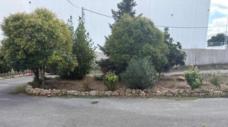 Ciudad Real - Puebla de Don Rodrigo - 15000m2