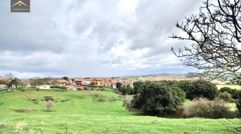 Castellon - Almenara - 13729m2