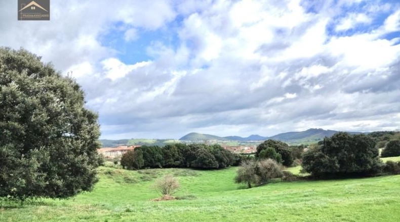 Castellon - Almenara - 13729m2