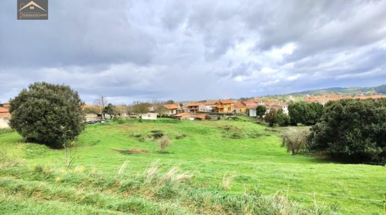Castellon - Almenara - 13729m2