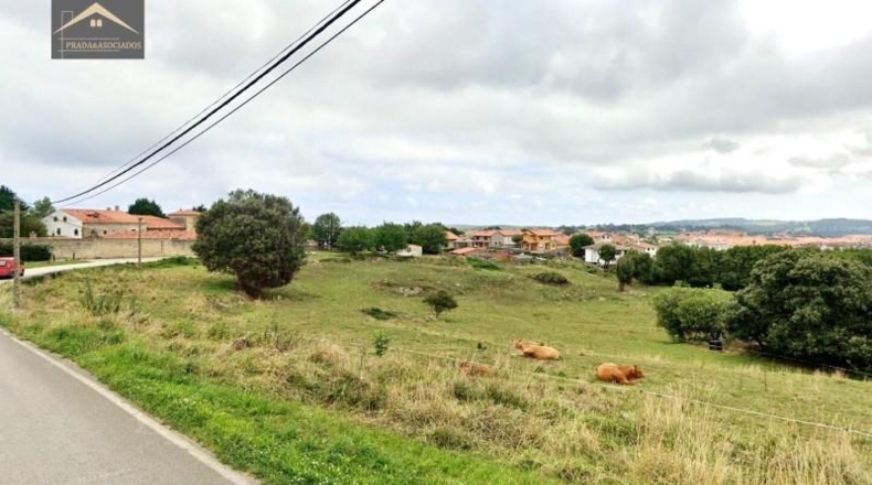 Castellon - Almenara - 13729m2