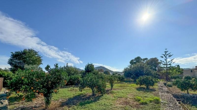 Alicante - Denia - 3860m2