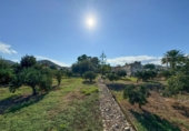 Terreny no urbanitzable en venda a la España, Dénia, ref.: TR263537 foto