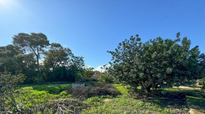 Alicante - Denia - 3860m2