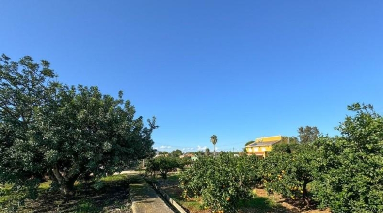 Alicante - Denia - 3860m2