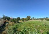Terreny no urbanitzable en venda a la España, Dénia, ref.: TR263537 foto