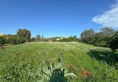 Terreny no urbanitzable en venda a la España, Dénia, ref.: TR263537 foto