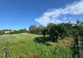 Terreny no urbanitzable en venda a la España, Dénia, ref.: TR263537 foto