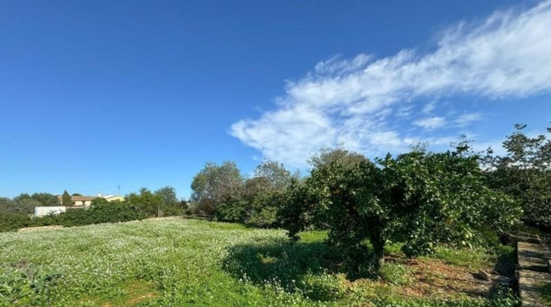 Alicante - Denia - 3860m2