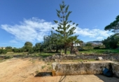 Terreny no urbanitzable en venda a la España, Dénia, ref.: TR263537 foto