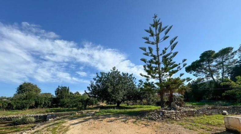 Alicante - Denia - 3860m2