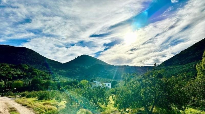 Córdoba - Carcabuey - 3100m2