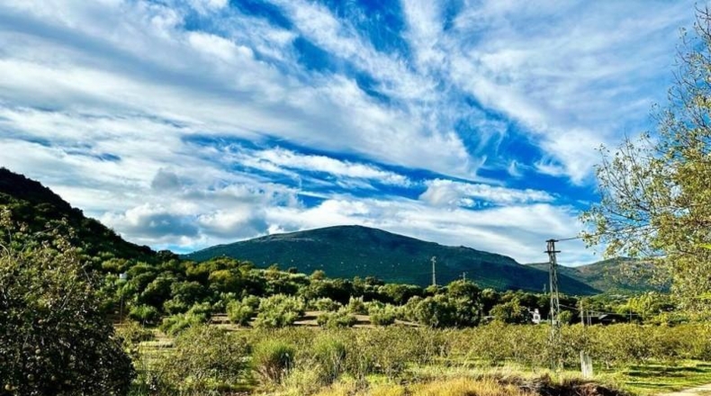 Córdoba - Carcabuey - 3100m2